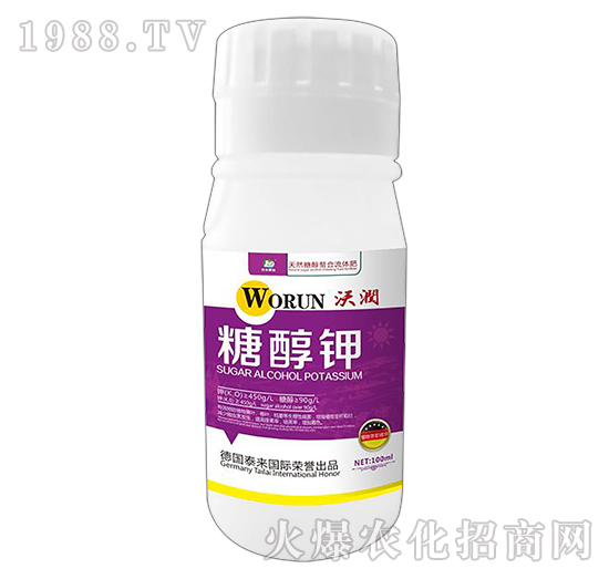 ȻǴw-Ǵ-֝(rn)-̩
