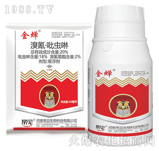 20%衤x(chng)-s-ʯ