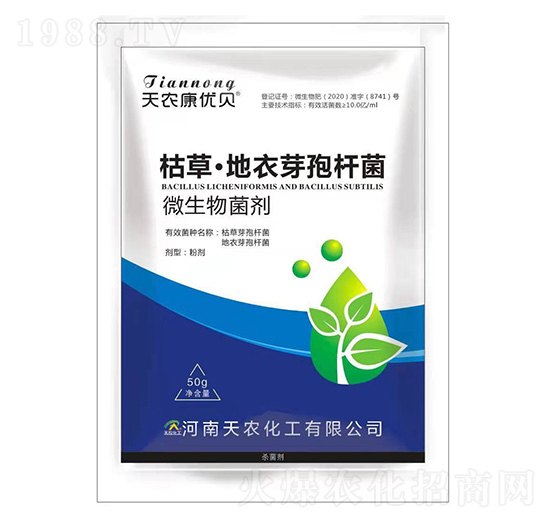 50gݲݡѿߗU-r(nng)(yu)ؐ-r(nng)