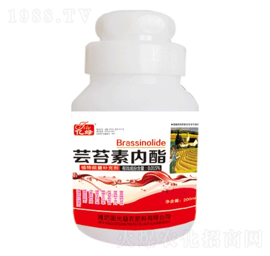 200ml|̦؃-r
