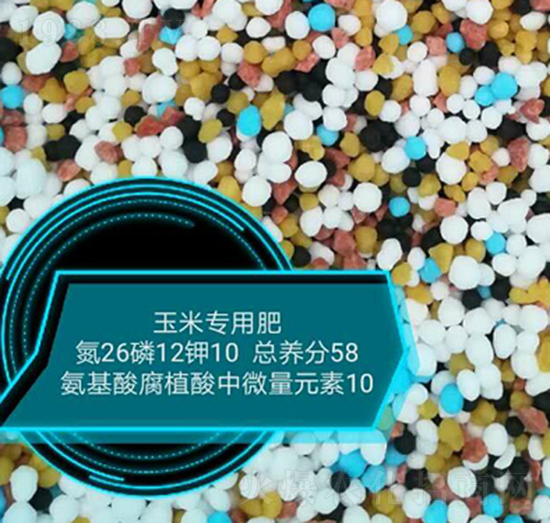 ׌ðḯֲ΢Ԫ26-12-10-rrI(y)