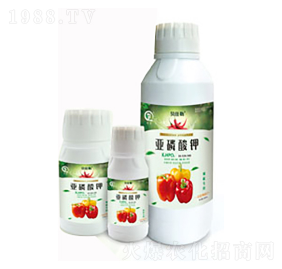 (zhun)Á-л