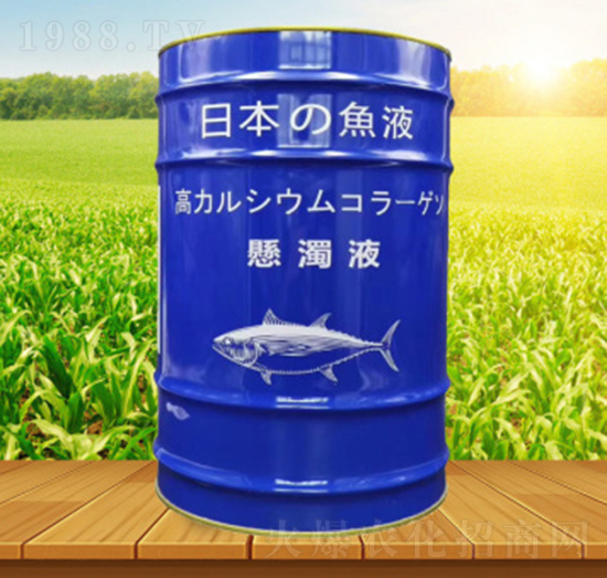 ձ~(y)Һ-˹