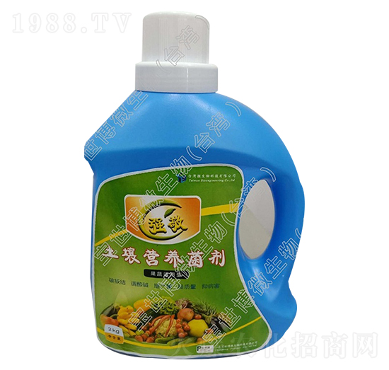 IB(yng)-(qing)-