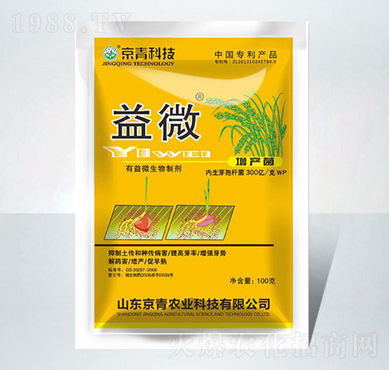 ΢(zhun)-Ƽ