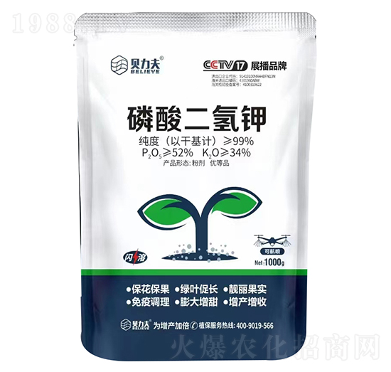 1000g-ؐ-?tng)S