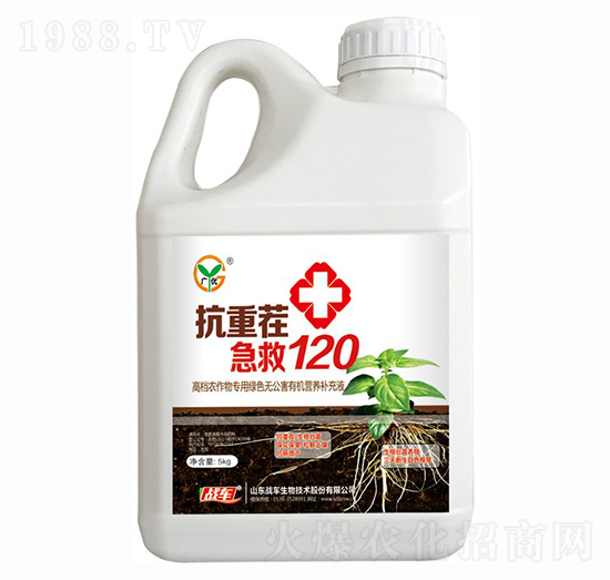 ز缱120-(zhn)܇