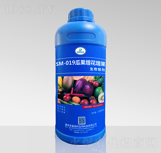 SM-019ϹƄ1000ml-ΰ