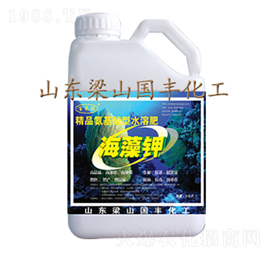 5kg-SʘI(y)