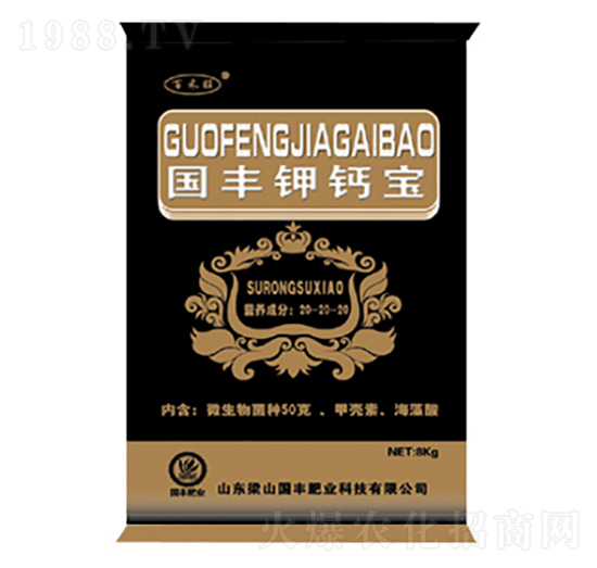 (gu)S}b-(gu)SʘI(y)