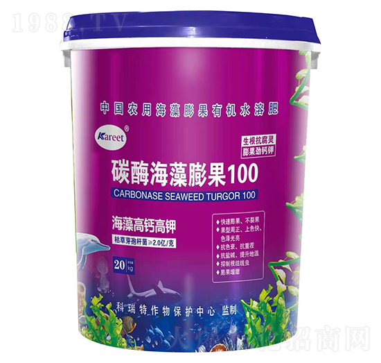 ̼ø100-