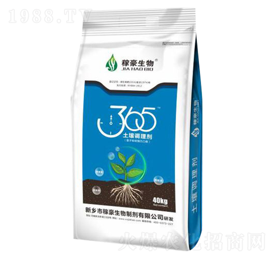 365{(dio)턩-ں