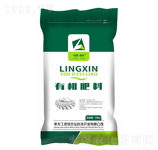 ЙC-I(lng)-GTr(nng)I(y)