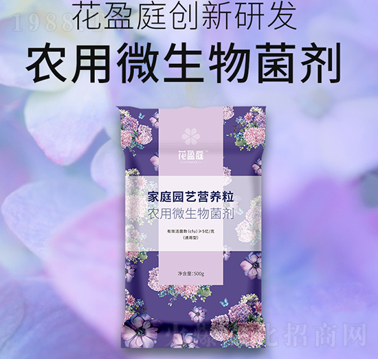 r(nng)΢-A(qing)