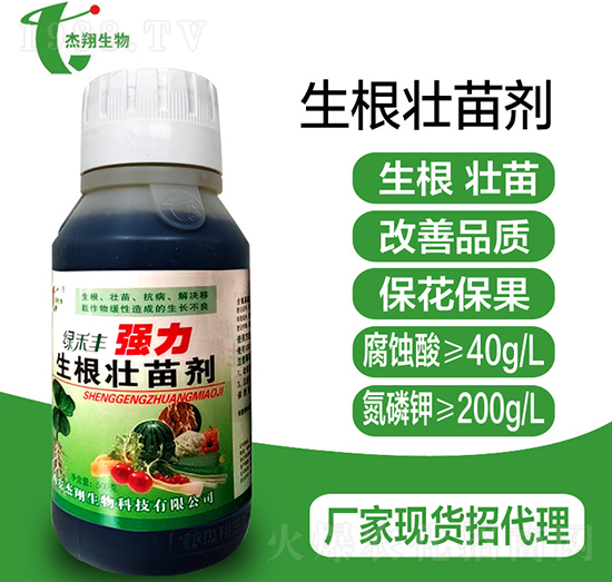 (qing)焩-