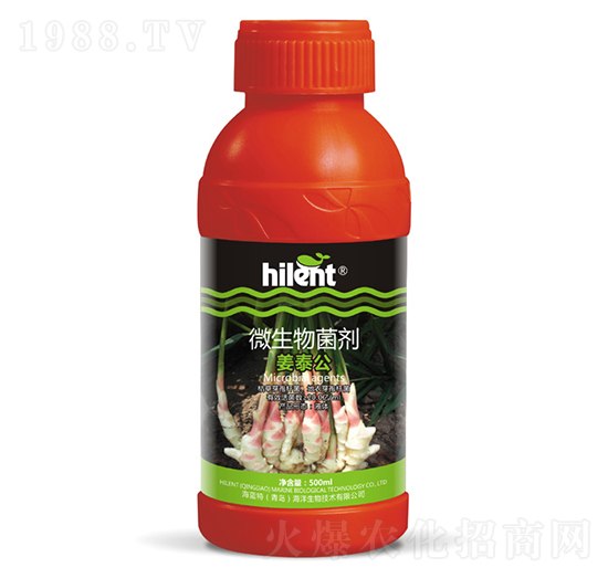 500ml΢-̩-{(ln)