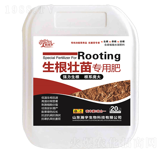猣(zhun)÷ʣף-