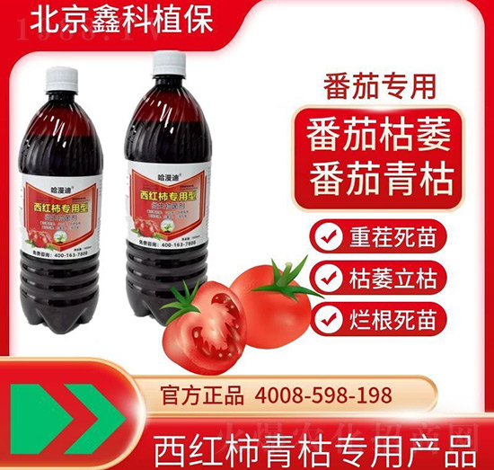 t(zhun)΢-οֲ