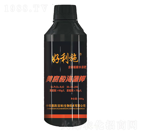 Sả-ʘI(y)
