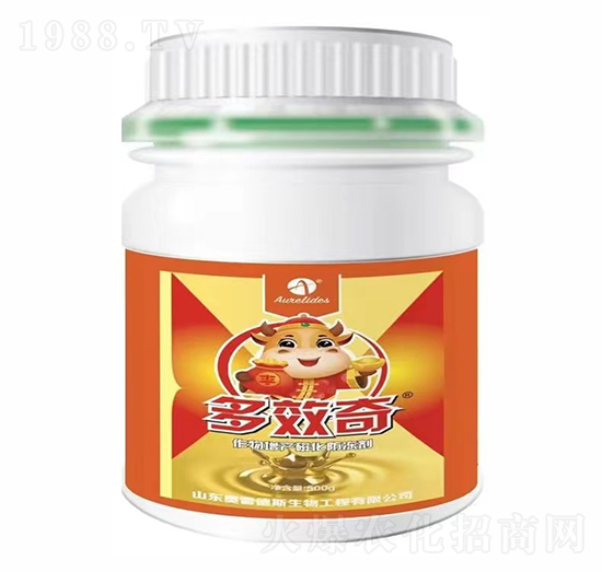 a(chn)Ż-Ч-W׵˹