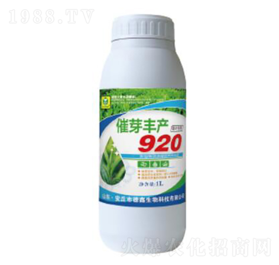 ѿSa(chn)920-