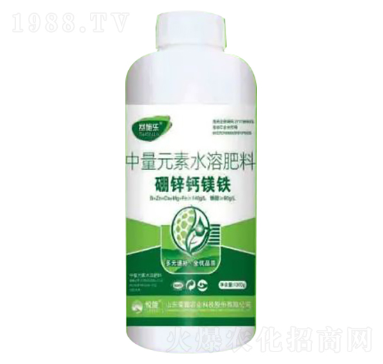 1300g\}VF-ِʩ-sҫrI(y)