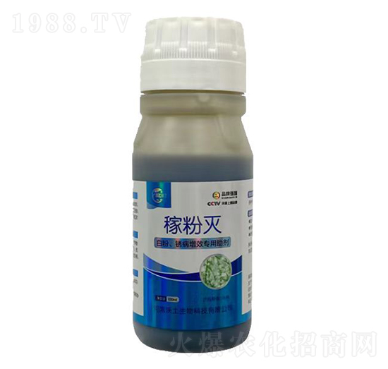 ׷PЧ(zhun)-ڷۜ-ډѴTS-