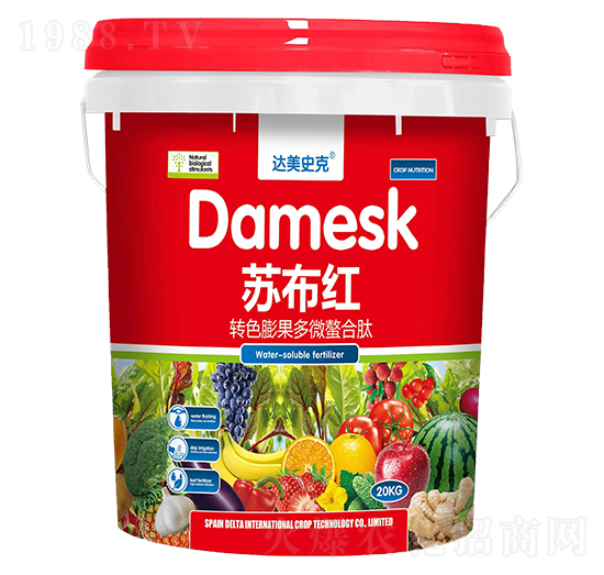 D(zhun)ɫ΢-Kt-_ʷ