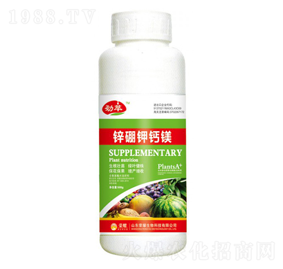 \}V500g--sҫrI(y)