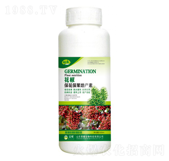 aأ500g--sҫrI(y)