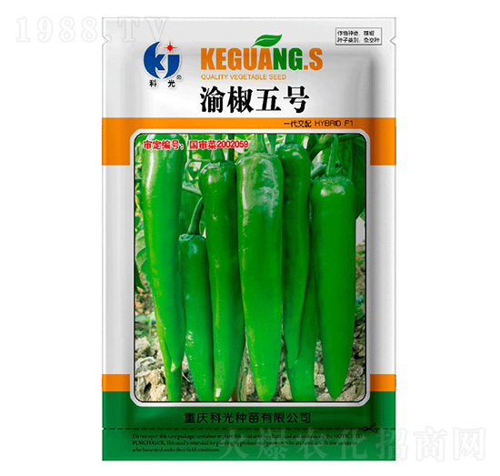 彷5̖-ƹN