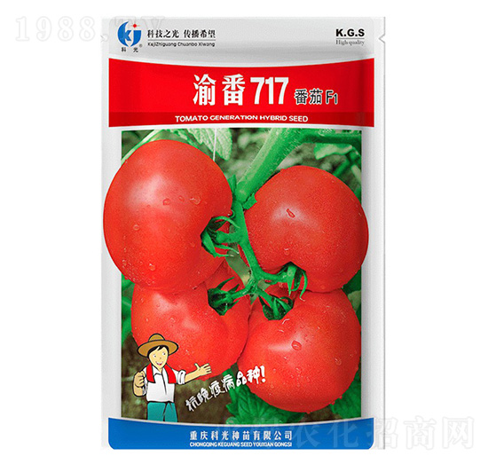 巬717-ƹN