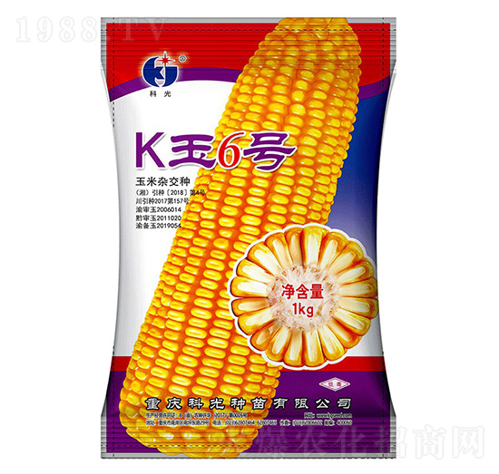 K6̖(ho)-ƹN