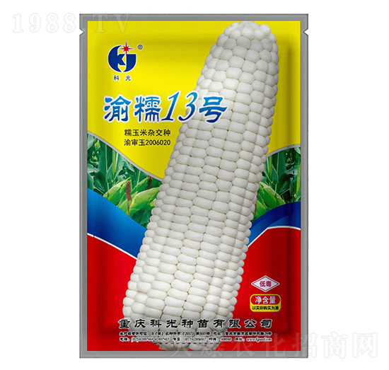 Ŵ13̖(ho)-ƹN