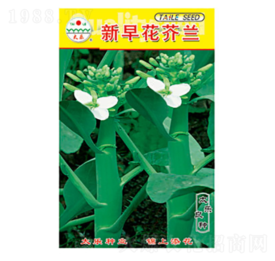 mN-绨m-̫NI(y)
