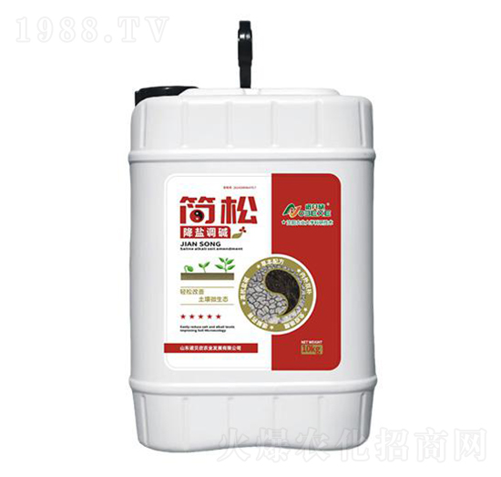 10kg-Zؐ