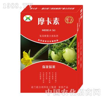 Һķ-Ħ-(qing)оH