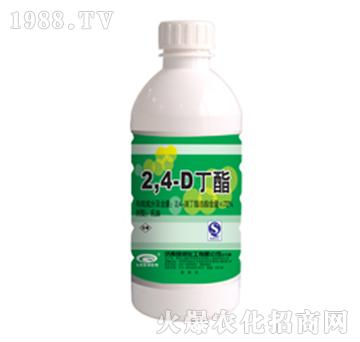 72%24ζ-G