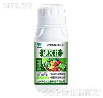 ։-֠(yu)