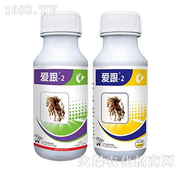 ξ(xin)x(chng)(zhun)-(i)-2b-Ѹ