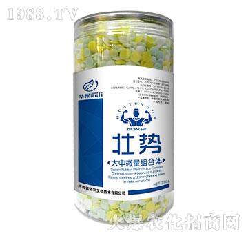 ΢Mw-ф(sh)-350g-Z
