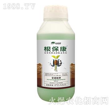 1000g-_(ti)