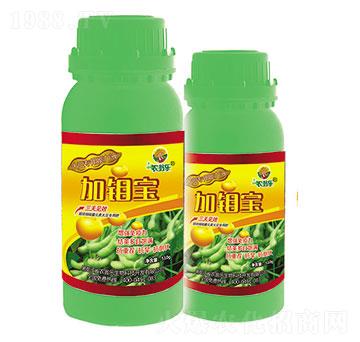 (li)(zhun)-f-r(nng)̘(l)