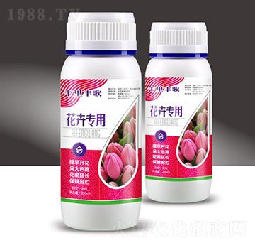 ܌(zhun)-ǧS-M(mn)}(cng)