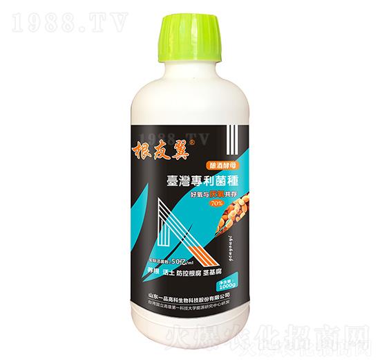 1000g-r(nng)˼_(d)1