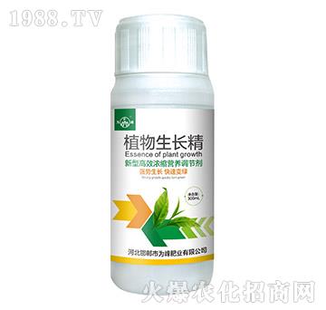 ֲL(zhng)-