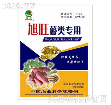 (li)(zhun)~-r(nng)ɸ
