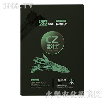 nČ(zhun)-ʉ-A