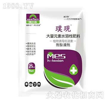 ֲT-豬F(xin)-