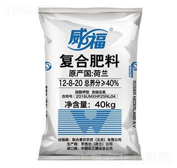 mMڏͺϷ12-8-20--(lin)ϻr